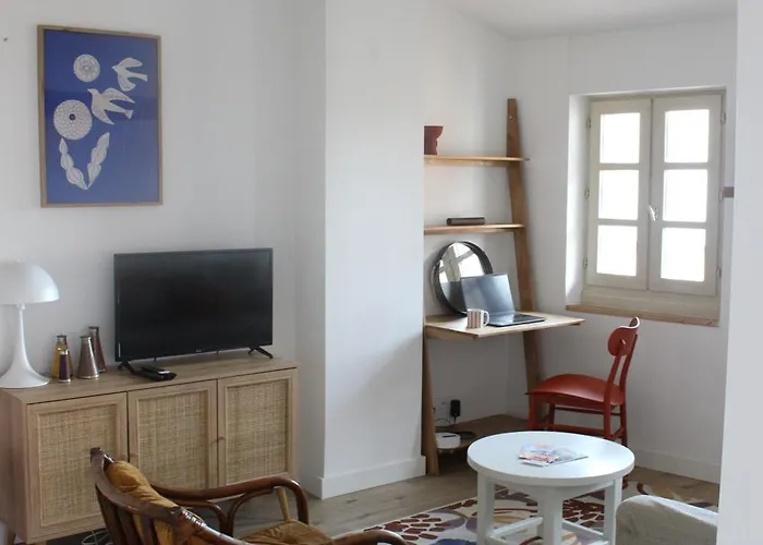 Appartement Centre Ancien Avec Vue Sur Le Tarn