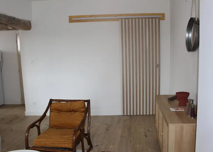 Appartement Centre Ancien Avec Vue Sur Le Tarn